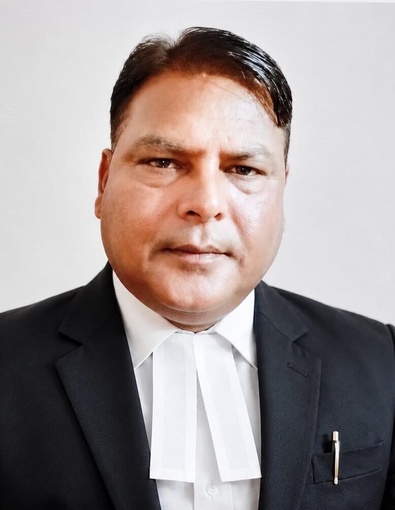 Arcadia Law Firm Counsel